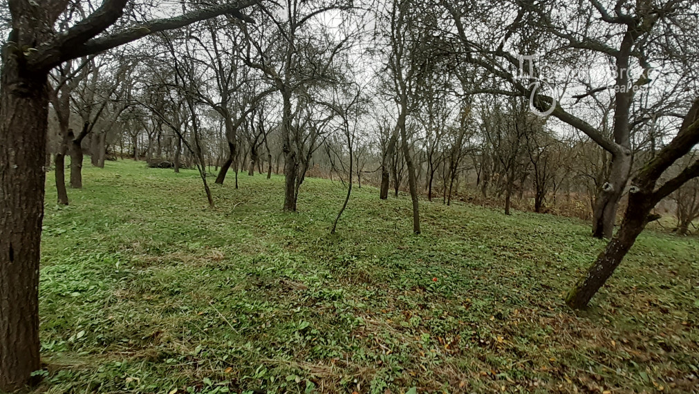 GALVÁCS - pekný 3i RD s garážou pri jazere