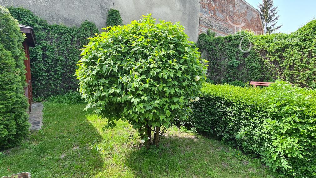 Znížená cena! Sátoraljaújhely - 6 izbový rodinný dom pre náročných v centre so súkromím