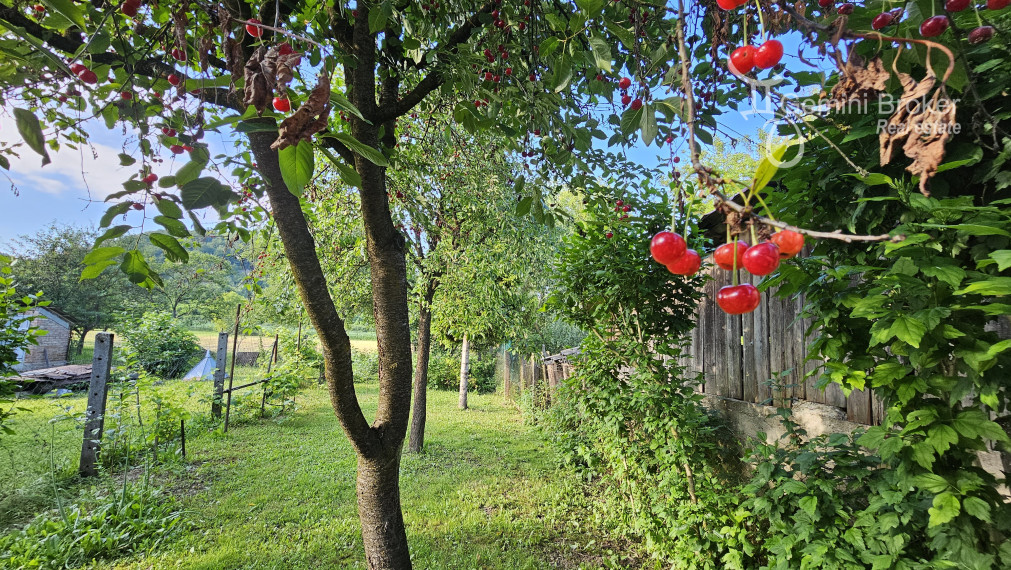 Perkupa - 3 izbový rodinný dom vo výbornom stave na krásnom pozemku 27á