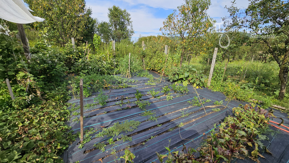 PERKUPA - nádherný 3 izbový rodinný dom, kompletná reknoštrukcia, 20á pozemok