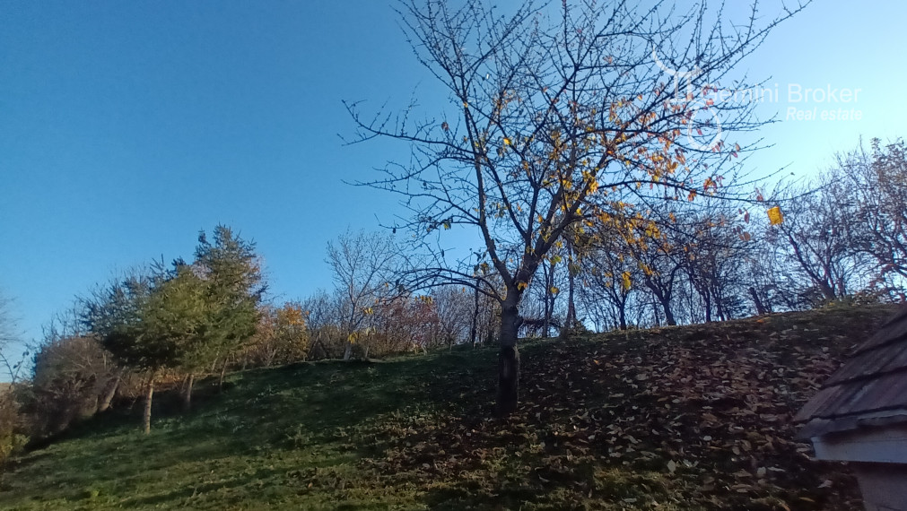 GEMINIBROKER v obci Gönc ponúka  krásny 3 izbový dom