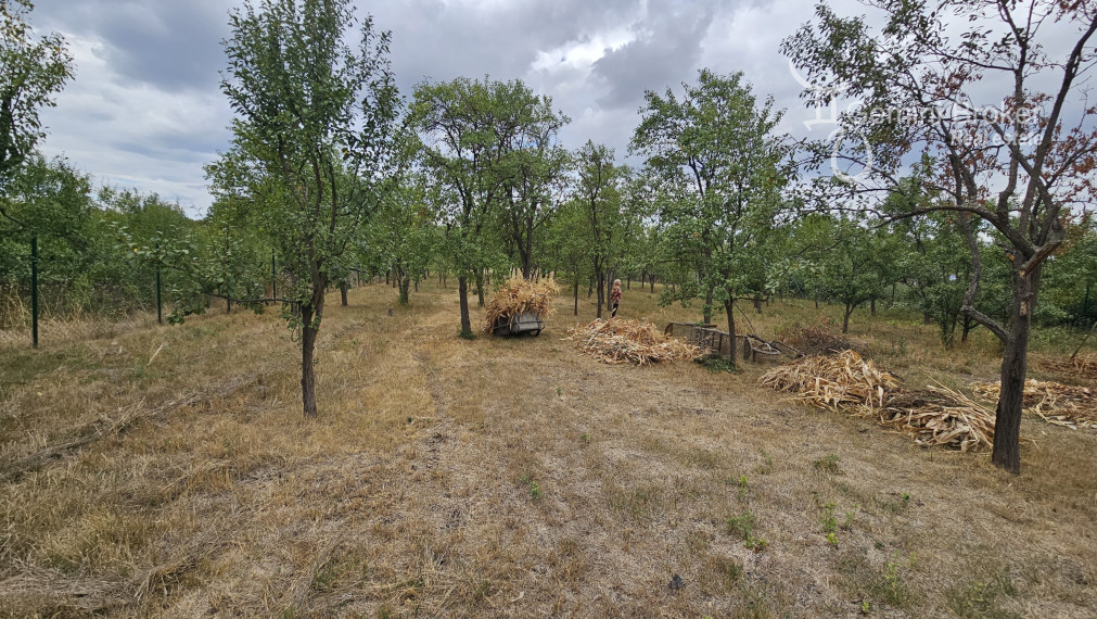 Forro - 3 izbový RD, výborný stav, 0,5ha pozemok,  dva domy na pozemku