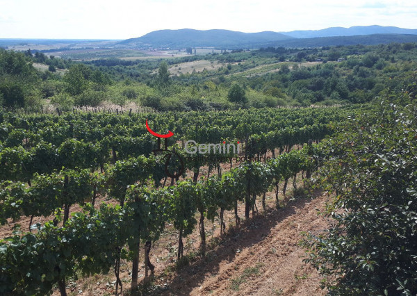 GEMINIBROKER Vám ponúka na predaj chatu s viničom a ovocným sadom