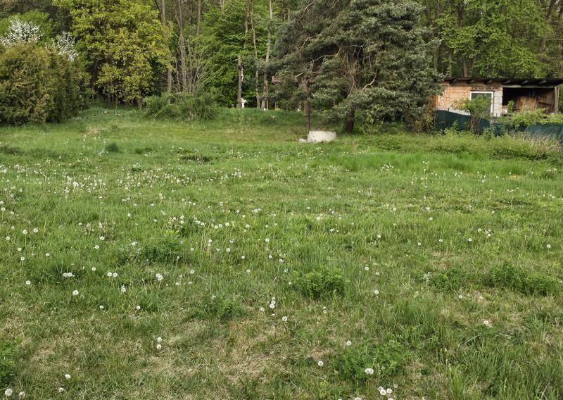 Paňovce - stavebný pozemok pod lesom 600m2